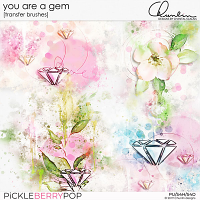 You are a gem - transfer brushes