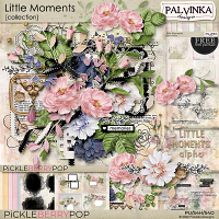 Little Moments Collection