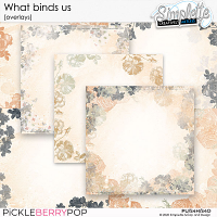 What binds us (overlays)