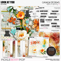 Look at you - bundle + FWP Transfer brushes