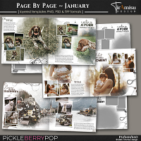 Page By Page Photobook Templates ~ January