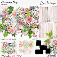 Blooming Day-Bundle