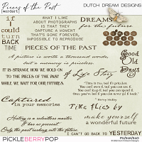 Pieces of the Past - Wordart