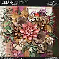 Cedar Charm: Kit