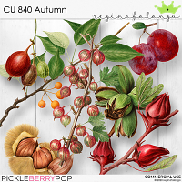 CU 840 AUTUMN 