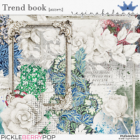 TREND BOOK ACCENTS