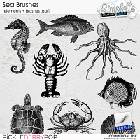Sea Brushes (CU)