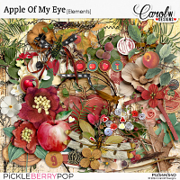 Apple Of My Eye-Elements