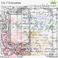 CU 713 BRUSHES