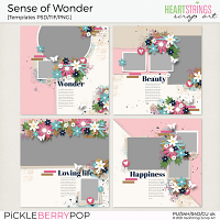 Sense of Wonder Templates