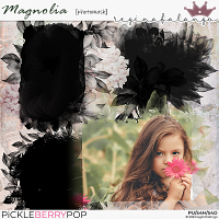 MAGNOLIA PHOTOMASK