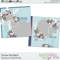 Snow Excited Templates