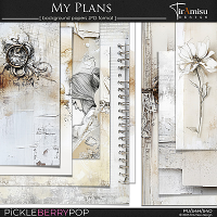 My Plans ~ background papers