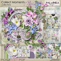 Collect Moments Collection