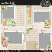 Single Shot [Templates] by Cindy Ritter 