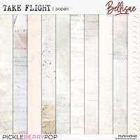 TAKE FLIGHT | papers by Bellisae