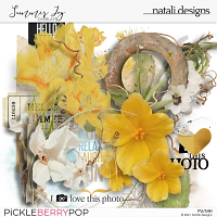 Summer Joy Overlays