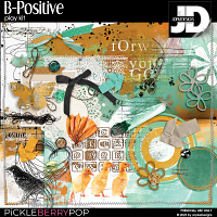 B-Positive Play Kit by JopkeDesigns