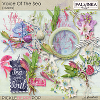 Voice Of The Sea Clusters