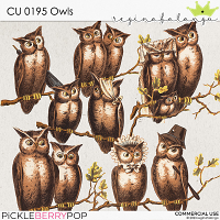 CU 0195 OWLS