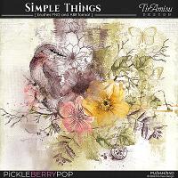 Simple Things ~ art brushes 