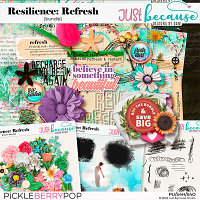 Resilience: Refresh Bundle by JB Studio