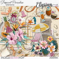 Tropical Paradise : Elements