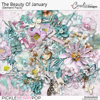 The Beauty Of January-Element Pack