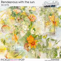 Rendezvous with the sun (accents) by Simplette