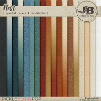 Nest Special Papers & Cardstocks by JB Studio