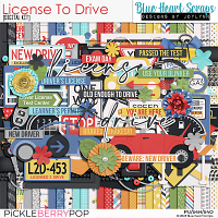 License To Drive Kit