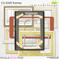 CU 0249 FRAMES