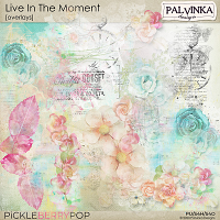 Live In The Moment Overlays