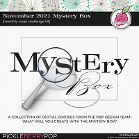 November 2021 Mystery Box