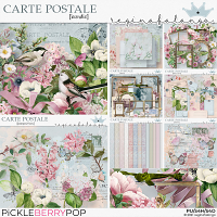 CARTE POSTALE BUNDLE