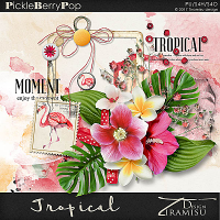 Tropical ~ Basic Kit by Tiramisu design