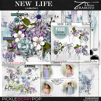 New Life Bundle Plus Free Gift by Tiramisu design