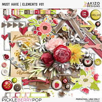Must Have | Elements 01