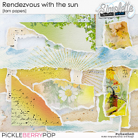 Rendezvous with the sun (torn papers) by Simplette