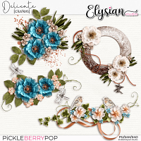 Delicate : Clusters