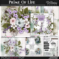 Prime Of Life Bundle 