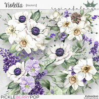 VIOLETTA CLUSTERS