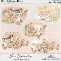 It's Springtime Accent Overlays by Indigo Designs