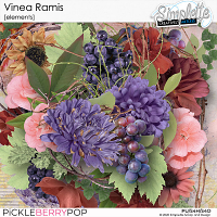 Vinea Ramis (elements)