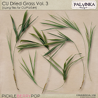 CU Dried Grass 3
