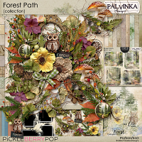 Forest Path Collection