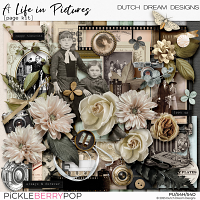 A Life in Pictures - Page Kit