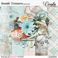 Seaside Treasures-Mini Kit