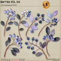 Berries VOL04 - CU - by Neia Scraps