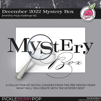 December 2022 Mystery Box